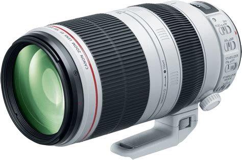 10 Best Lenses for Wildlife Photographers in 2022 (Updated)