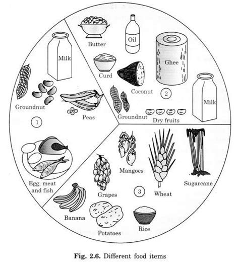 Make a flow chart offood items rich In following nutrients ...