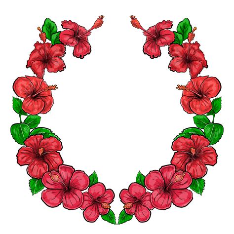 Hibiscus Border PNG Picture, Beautiful Hibiscus Flower Border Design, Hibiscus, Flower, Border ...