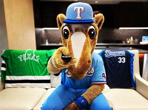 Texas Rangers Mascot - The Oriole Bird's History, Funny Incidents, and More