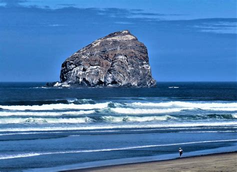 Haystack Rock , Oregon Coast | Haystack rocks grow more abun… | Flickr