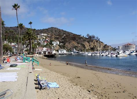 Avalon beach, Santa Catalina, USA - Ultimate guide (September 2024)