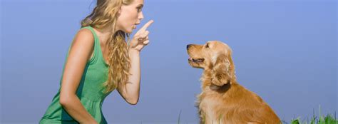 Everything You Need to Know About Animal Communication - Start Here