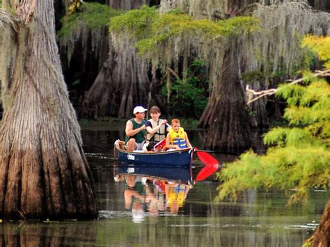 Caddo Lake State Park Perfect for Paddling | Explore the Upper East ...