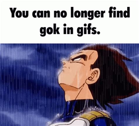 Gok Goku GIF - Gok Goku Dragon Ball Z - Discover & Share GIFs