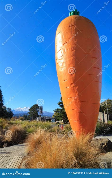 Giant Carrot And Welcome Sign In Ohakune, New Zealand Editorial Image | CartoonDealer.com #184676504