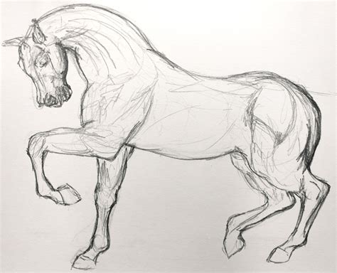 Horse Outline Sketch at PaintingValley.com | Explore collection of ...