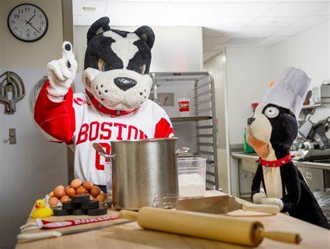 Rhett the Terrier, through the Years | BU Today | Boston University