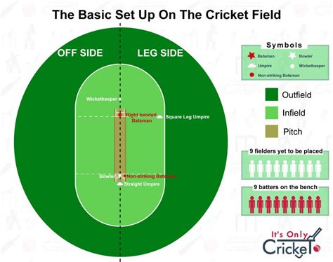 Cricket Fielding Positions Explained: A Simple Guide - Its Only Cricket