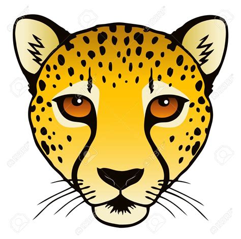 cheetah face clipart 20 free Cliparts | Download images on Clipground 2024