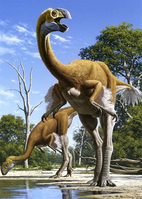 gigantoraptor - Google Search | Dinosaur art, Prehistoric animals, Prehistoric dinosaurs