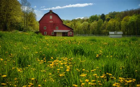 Barn Wallpapers - WallpaperSafari