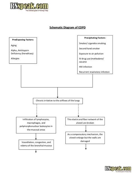 Copd Diagram