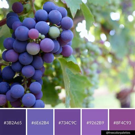 Vineyard Grape | Purple Color Palette Inspiration. | Digital Art Palette And Brand Color Palette ...