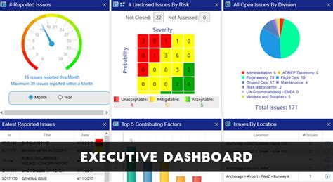 Risk Management Dashboard by SMS Pro