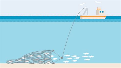 What is Bottom Trawling | Marine Stewardship Council