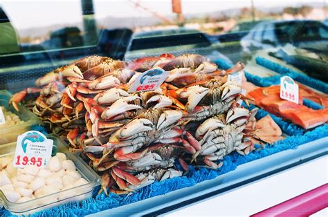 When Is The Florida Stone Crab Season? | Naples, Florida