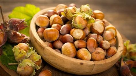 Hazelnuts in Shell & Kernels | Helios Ingredients Ltd