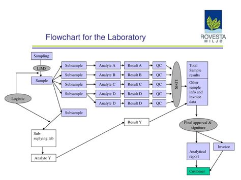 PPT - Flowchart for the Laboratory PowerPoint Presentation, free ...