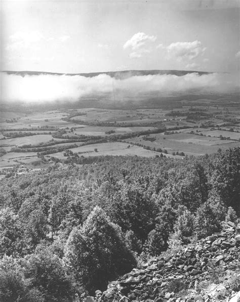 Cumberland Plateau Grassland Gallery — Southeastern Grasslands Institute