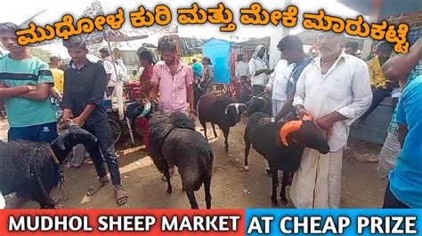 Mudhol Sheep and Goat Market | wholesale Market |Mutton & Farming Purposes | @gdfchannel8724 ...