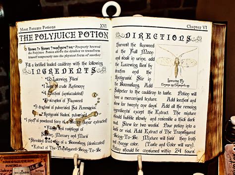 SnowyBliss: Polyjuice Potion