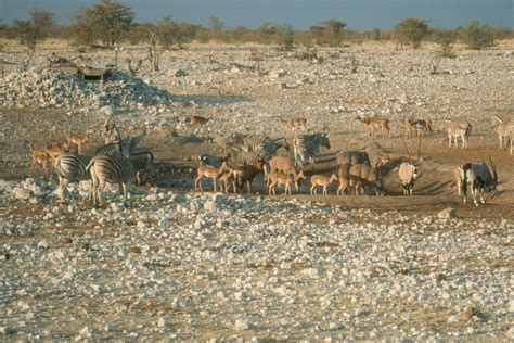 TravelComments.com Official Blog: Namibia: Employees of Namibia ...