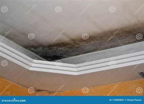 Mold from Water Damage in the Ceiling Stock Image - Image of dirty ...