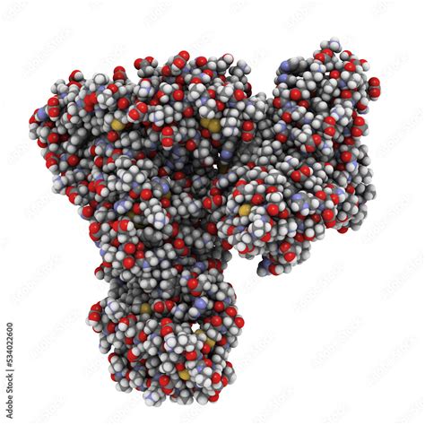 Human serum albumin protein, chemical structure. Stock Illustration ...