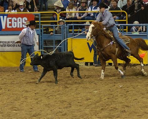 Pin by Caitlyn Travis on Calf roping | Calf roping, Horses, Calves