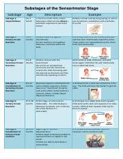 Substages of the Sensorimotor Stage - hand out.pdf - Substages of the Sensorimotor Stage ...