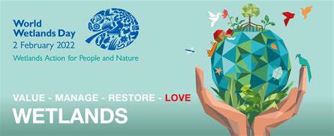 26th World Wetlands Day: What China has done for wetland conservation ...