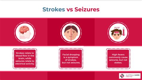 Epilepsy Causes And Risk Factors