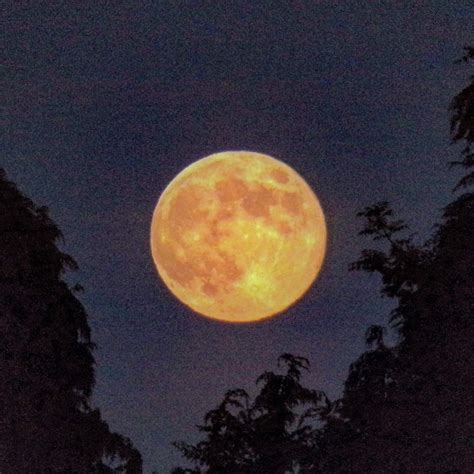 Yellow Moon Background, Widescreen Yellow Moon, #26304