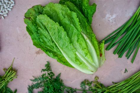 How to Grow Your Own Romaine Lettuce • Gardenary