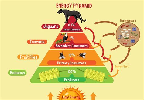 Energy Pyramid 196