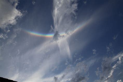 Regenbogen in den Wolken Foto & Bild | tiere, tierfreundschaften, natur Bilder auf fotocommunity