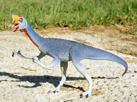 7 Photos Oviraptor Facts For Kids And Review - Alqu Blog