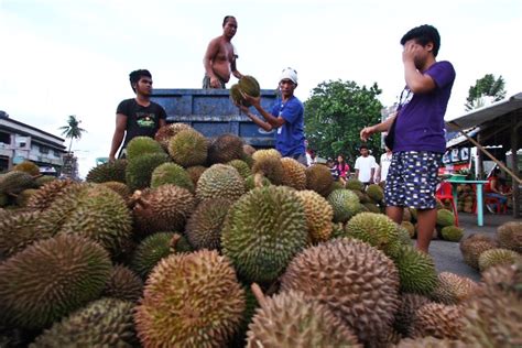 China to become biggest market of Davao durian