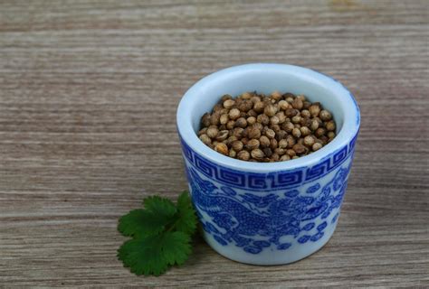 Coriander seeds dish view 12845149 Stock Photo at Vecteezy