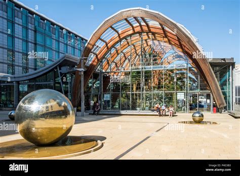 Winter Garden, Sheffield, England, UK Stock Photo - Alamy