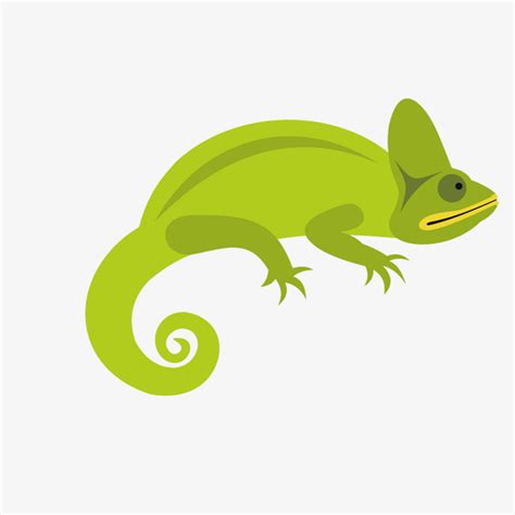 Chameleon clipart vector, Chameleon vector Transparent FREE for ...