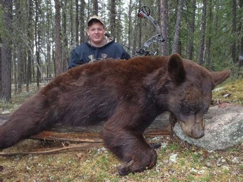 Manitoba Canada Spring & Fall Guided Bear Hunting Trips