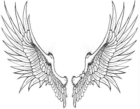 Wings Line Drawing at GetDrawings | Free download