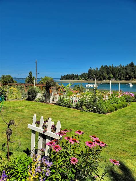 What's Blooming in My Early Summer Cottage Garden - Shiplap and Shells