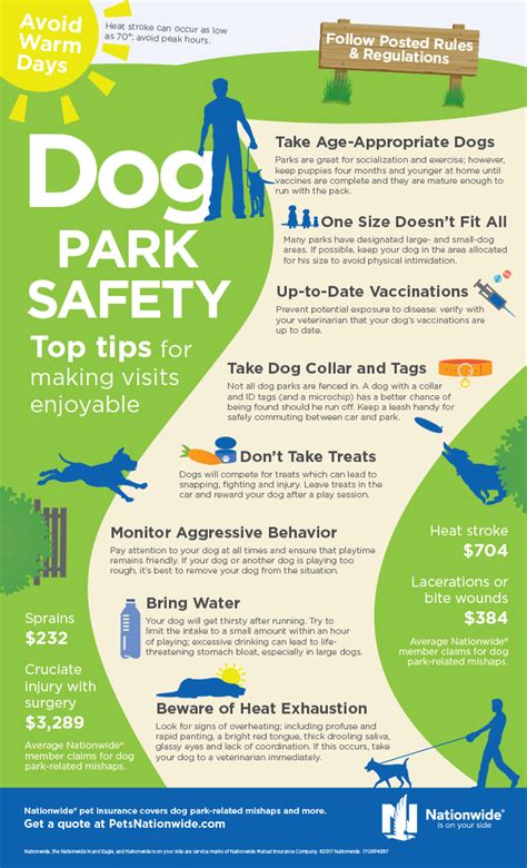 Nationwide Pet Insurance: Dog Park Safety – Discount Tire Family