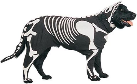 Pet Skeleton Dog Halloween Costume For Small Dogs | Trajes para mascotas, Halloween para perros ...