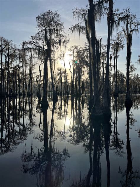 Banks Lake Gets Right For January Fishing - Georgia Outdoor News