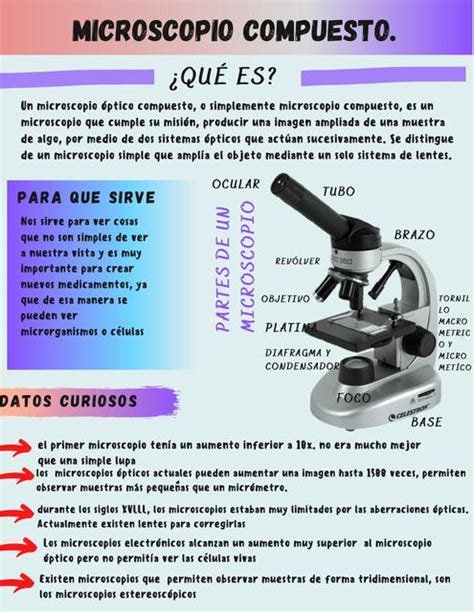 Microscopio Compuesto | Microscopio | Ocular | uDocz