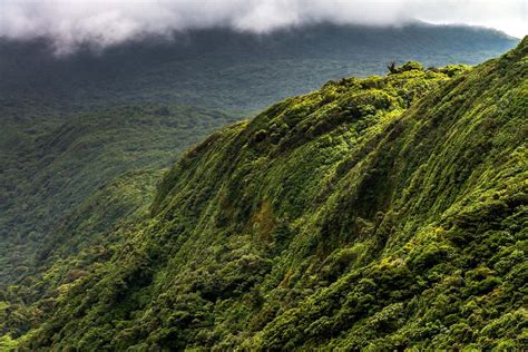 A One-Week Itinerary to Exploring the Central Valley in Costa Rica